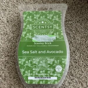Scentsy Brick